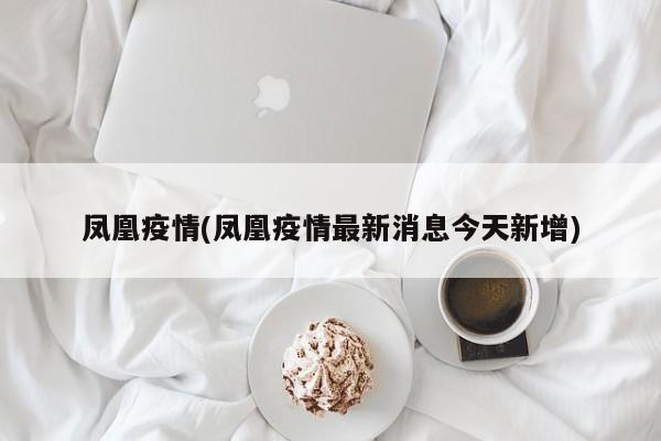 凤凰疫情(凤凰疫情最新消息今天新增)