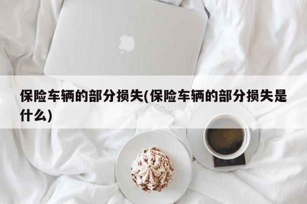 保险车辆的部分损失(保险车辆的部分损失是什么)
