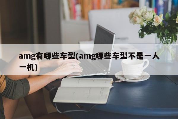 amg有哪些车型(amg哪些车型不是一人一机)