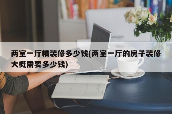 两室一厅精装修多少钱(两室一厅的房子装修大概需要多少钱)