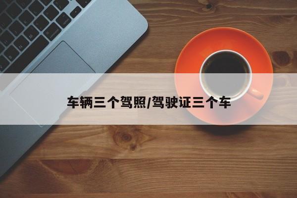 车辆三个驾照/驾驶证三个车