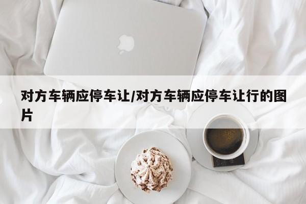 对方车辆应停车让/对方车辆应停车让行的图片