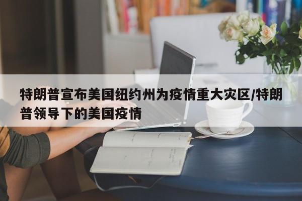 特朗普宣布美国纽约州为疫情重大灾区/特朗普领导下的美国疫情