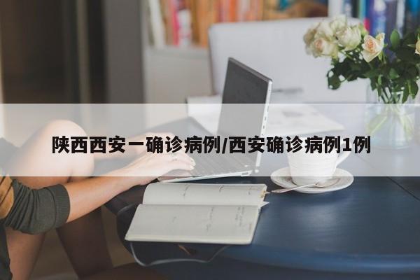 陕西西安一确诊病例/西安确诊病例1例