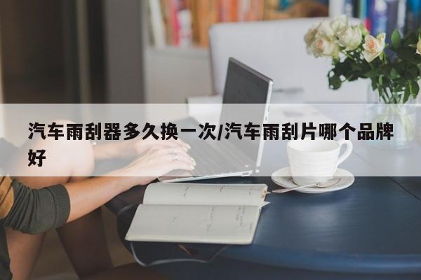 汽车雨刮器多久换一次/汽车雨刮片哪个品牌好
