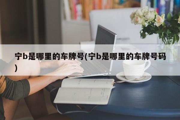 宁b是哪里的车牌号(宁b是哪里的车牌号码)