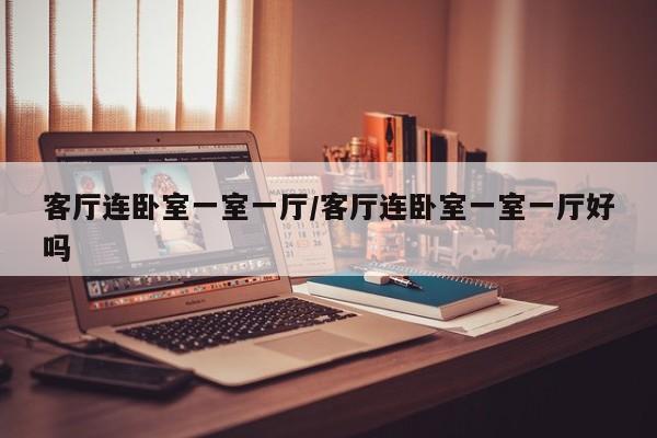 客厅连卧室一室一厅/客厅连卧室一室一厅好吗