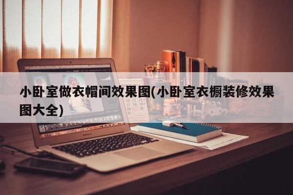小卧室做衣帽间效果图(小卧室衣橱装修效果图大全)