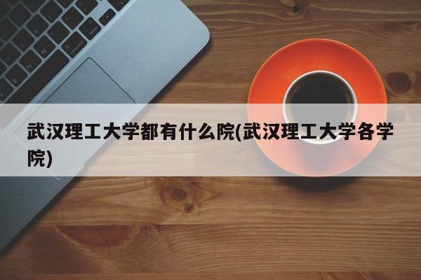 武汉理工大学都有什么院(武汉理工大学各学院)