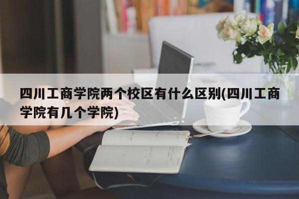 四川工商学院两个校区有什么区别(四川工商学院有几个学院)