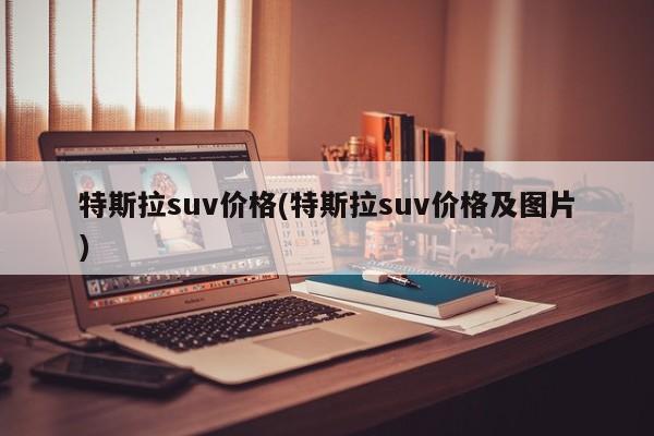 特斯拉suv价格(特斯拉suv价格及图片)