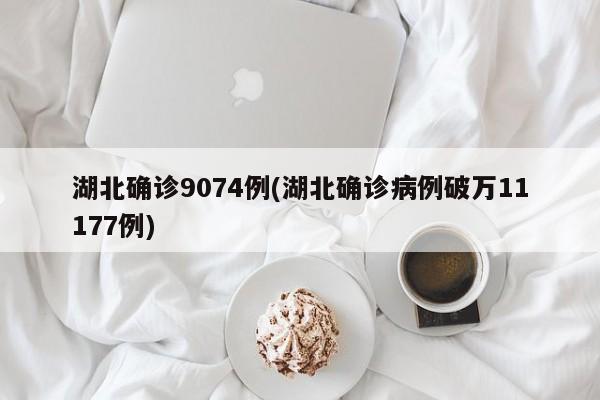 湖北确诊9074例(湖北确诊病例破万11177例)