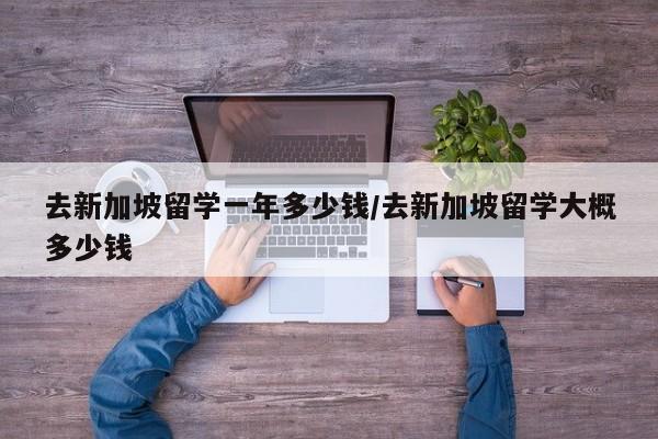 去新加坡留学一年多少钱/去新加坡留学大概多少钱