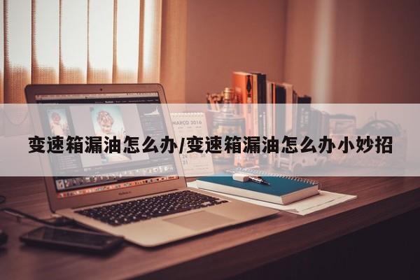 变速箱漏油怎么办/变速箱漏油怎么办小妙招