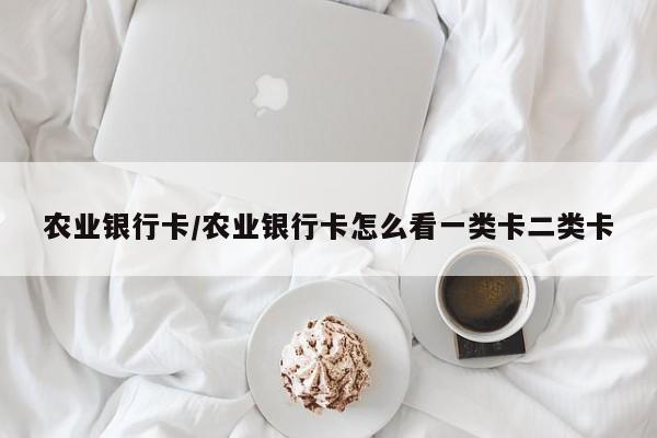 农业银行卡/农业银行卡怎么看一类卡二类卡