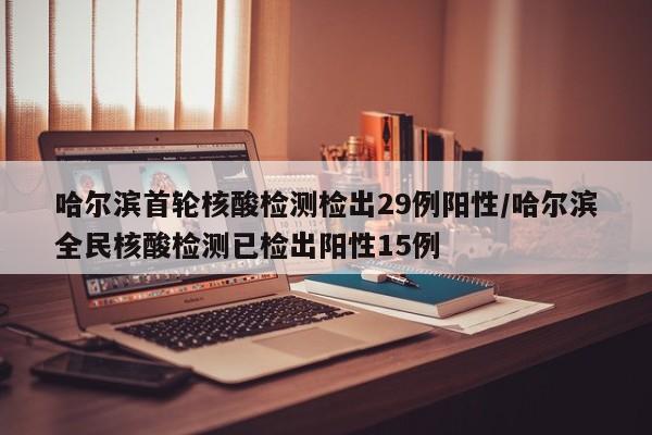 哈尔滨首轮核酸检测检出29例阳性/哈尔滨全民核酸检测已检出阳性15例