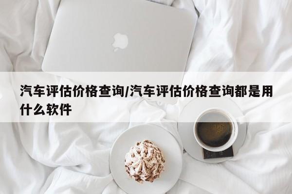 汽车评估价格查询/汽车评估价格查询都是用什么软件