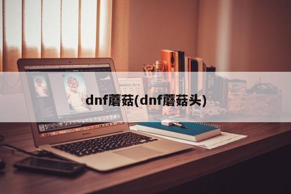 dnf蘑菇(dnf蘑菇头)