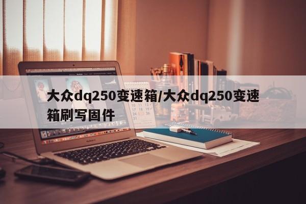 大众dq250变速箱/大众dq250变速箱刷写固件