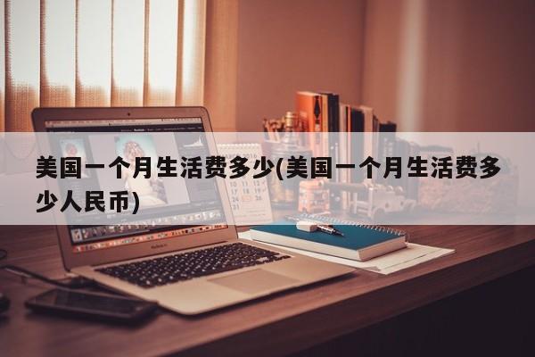 美国一个月生活费多少(美国一个月生活费多少人民币)