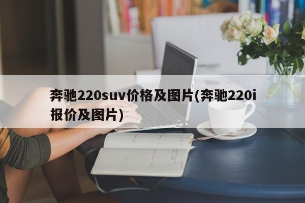 奔驰220suv价格及图片(奔驰220i报价及图片)