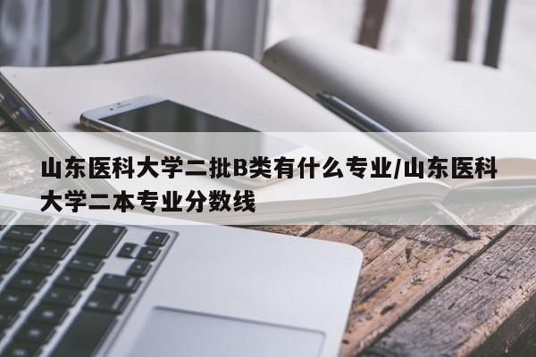 山东医科大学二批B类有什么专业/山东医科大学二本专业分数线