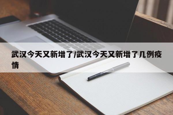 武汉今天又新增了/武汉今天又新增了几例疫情