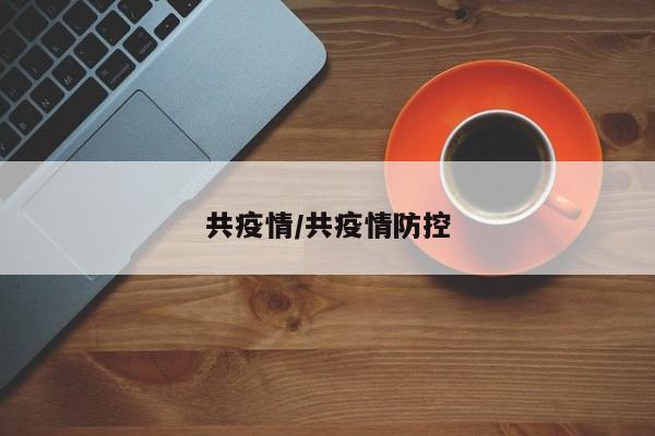 共疫情/共疫情防控