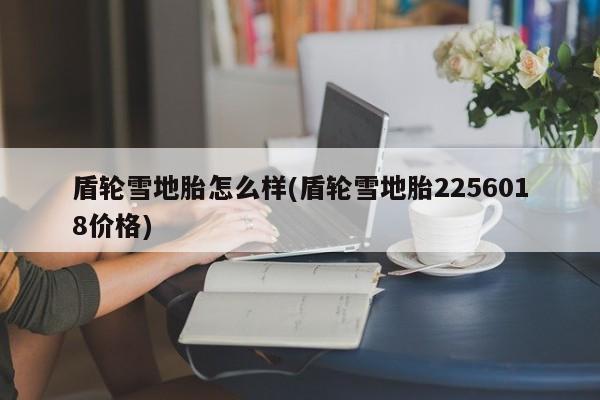 盾轮雪地胎怎么样(盾轮雪地胎2256018价格)