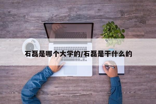 石磊是哪个大学的/石磊是干什么的